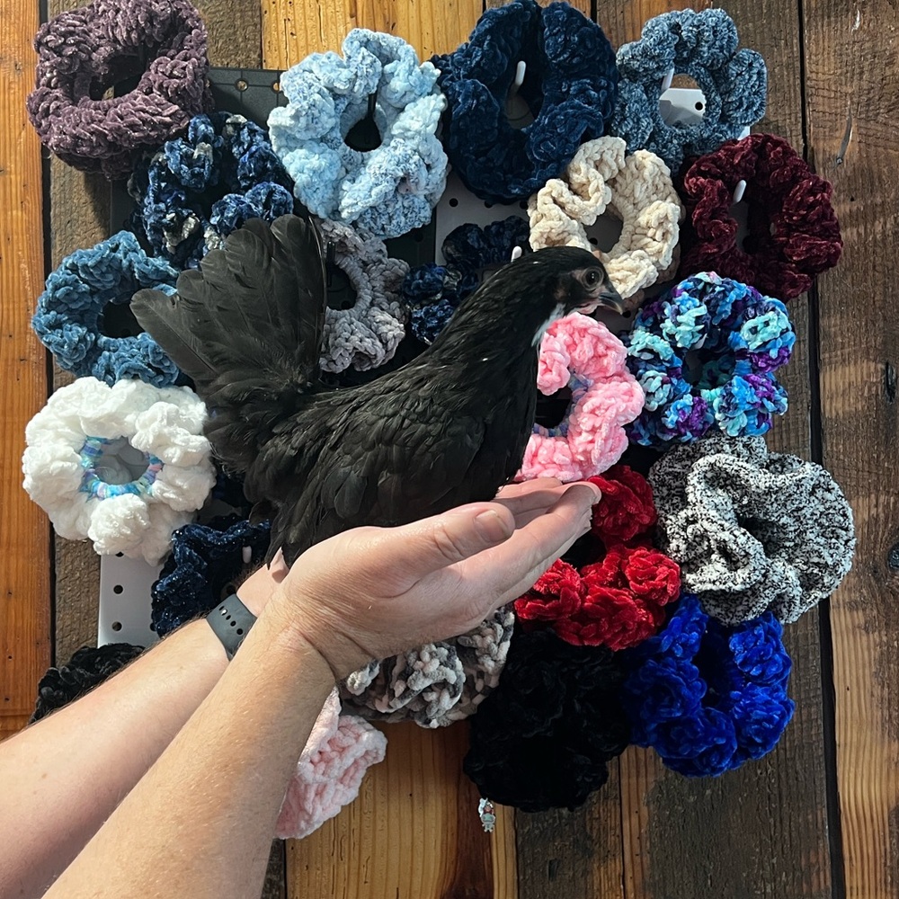 Assorted Scrunchies Set 3 for $12 you choose - Picture 2 of 7